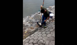 钓大鱼视频,视频教学带你轻松捕获巨物